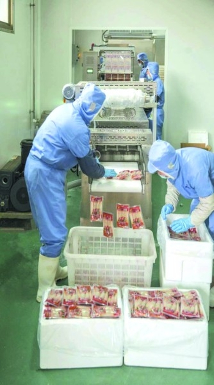 国内四成以上的“法式鹅肝”，产自山东这个县