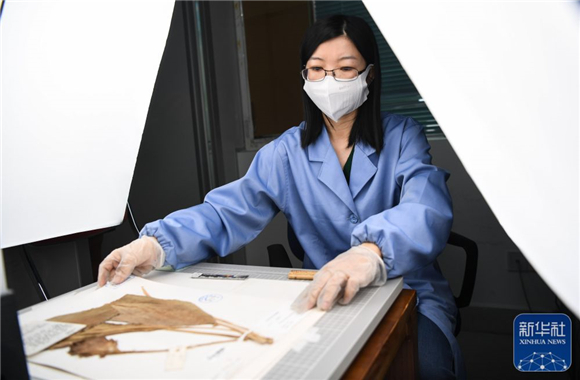 第二个国家植物园来了！华南国家植物园揭牌