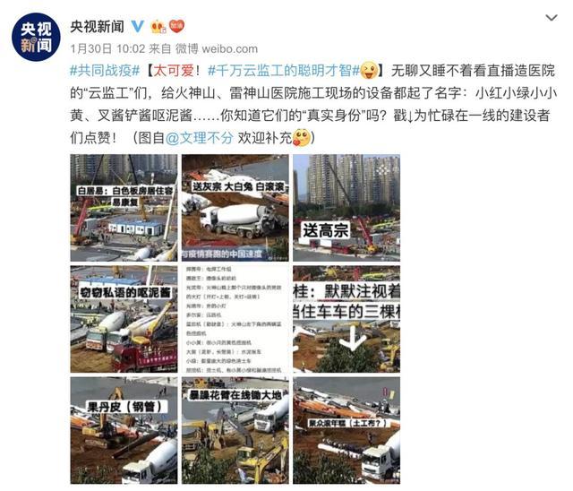 春节不能出门把全国网友憋成啥样？给猫讲函数，为橘子接生