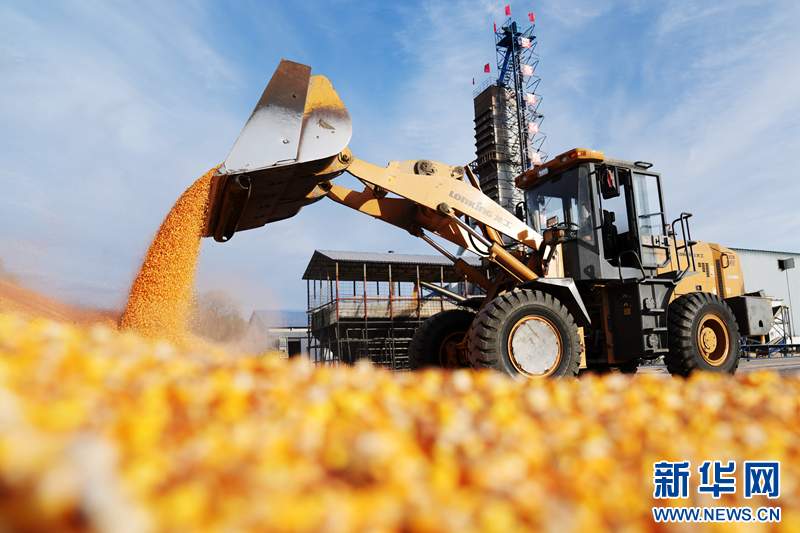 神州答卷丨松花江畔风正劲——黑龙江奋力开创高质量发展新局面