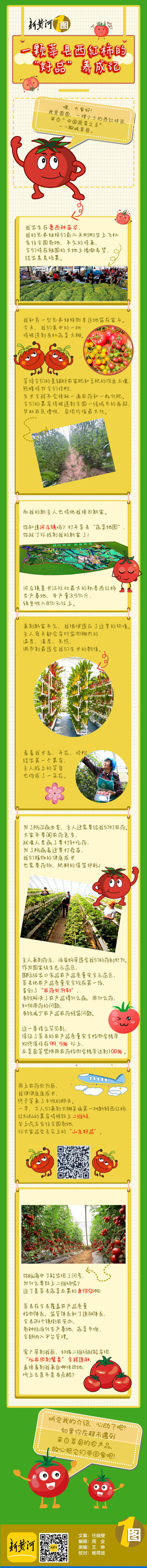 高“瞰”山东·打卡聊城 