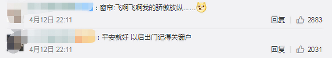 大结局!武汉被拍成连续剧的窗帘户主回家了 一晃快2个月树都绿了