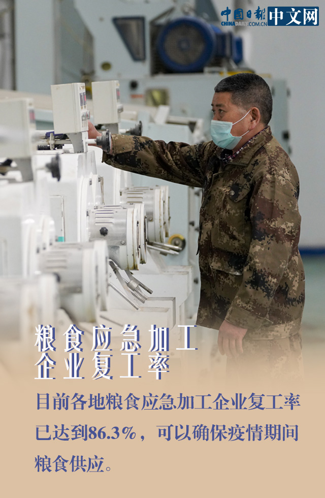 莫慌！防疫春耕两手抓 我们的“米袋子”货足价稳