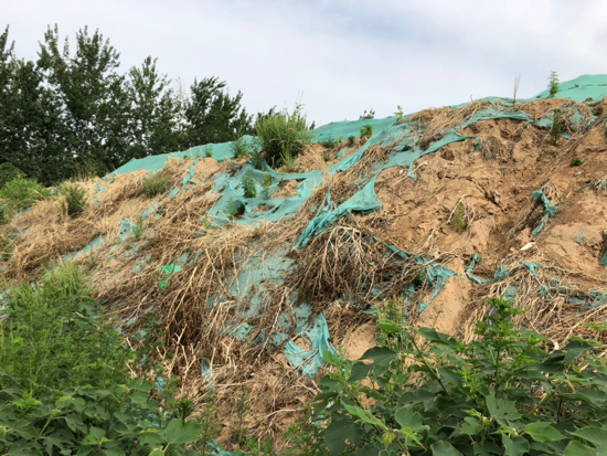 【啄木鸟在行动】长清区大学路与海棠路东北角渣土裸露