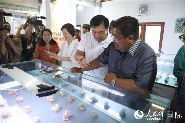 中印尼携手开展合作 修复巴厘岛北部珊瑚礁