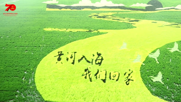 1天24小时，东营在发生什么……