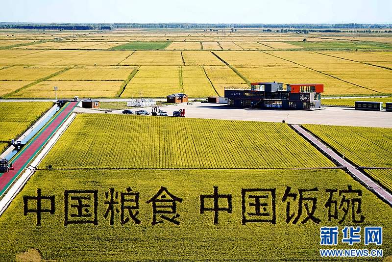 神州答卷丨松花江畔风正劲——黑龙江奋力开创高质量发展新局面