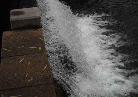 一夜暴涨15厘米！大雨过后济南黑虎泉喷涌更迅猛