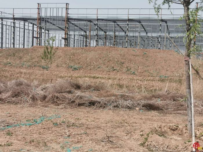 【啄木鸟行动】商河县玉凯路一工地内渣土裸露