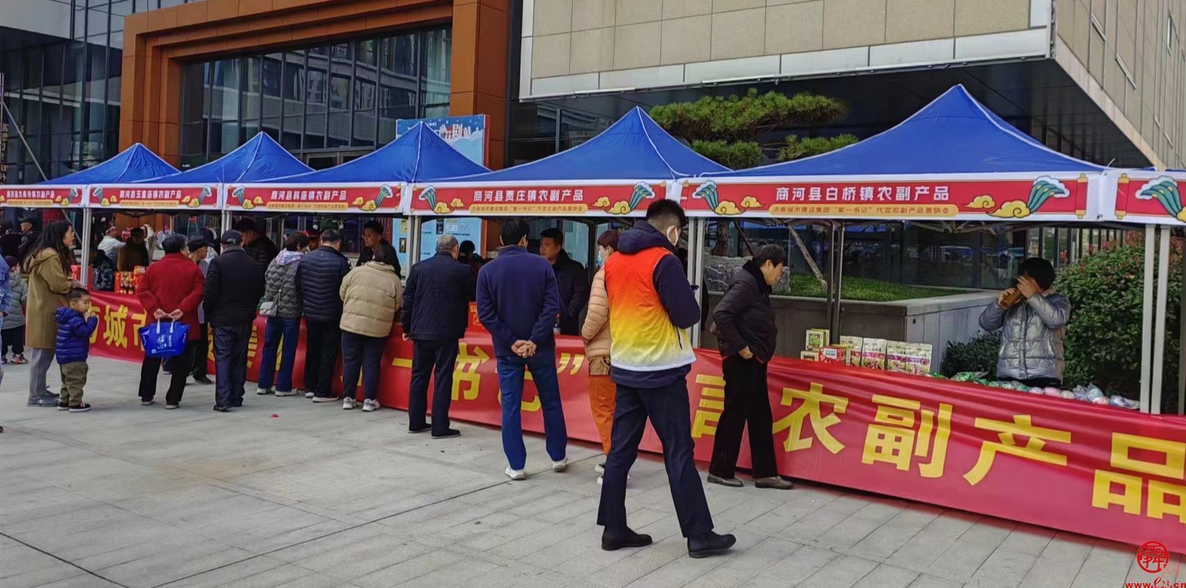 烟火气“沉甸甸”！ 泉水人家社区里收获暖融