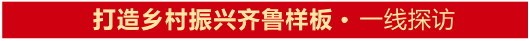 打造乡村振兴齐鲁样板丨日照市东港区陈疃镇：蓝莓树结出“致富果”