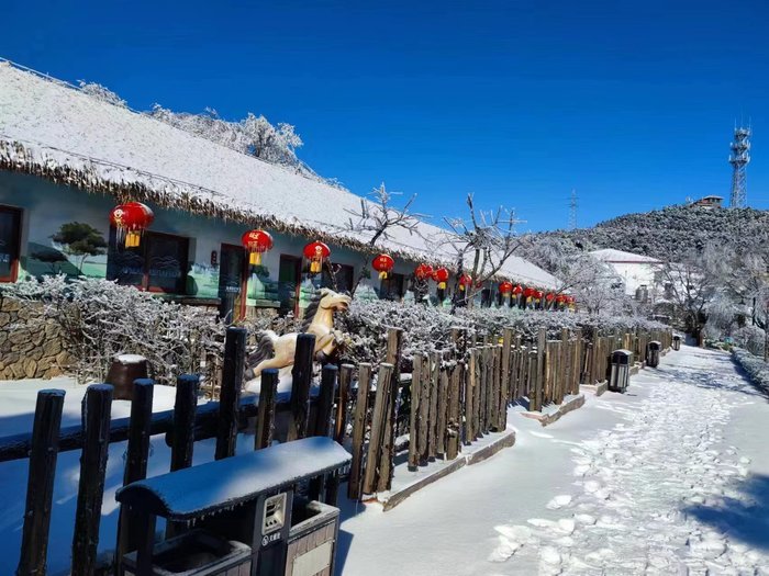 雾凇、雨凇、雪凇同现 跑马岭工作人员感叹“头回见”