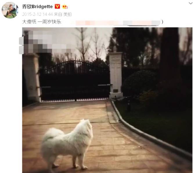 与杨洋传绯闻乔欣富二代背景被扒 曝住独栋别墅价值过亿