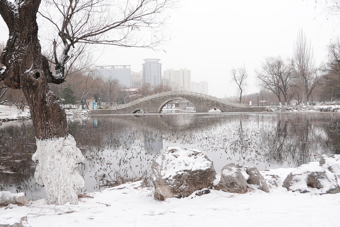 小年迎初雪！雪中红石别样美