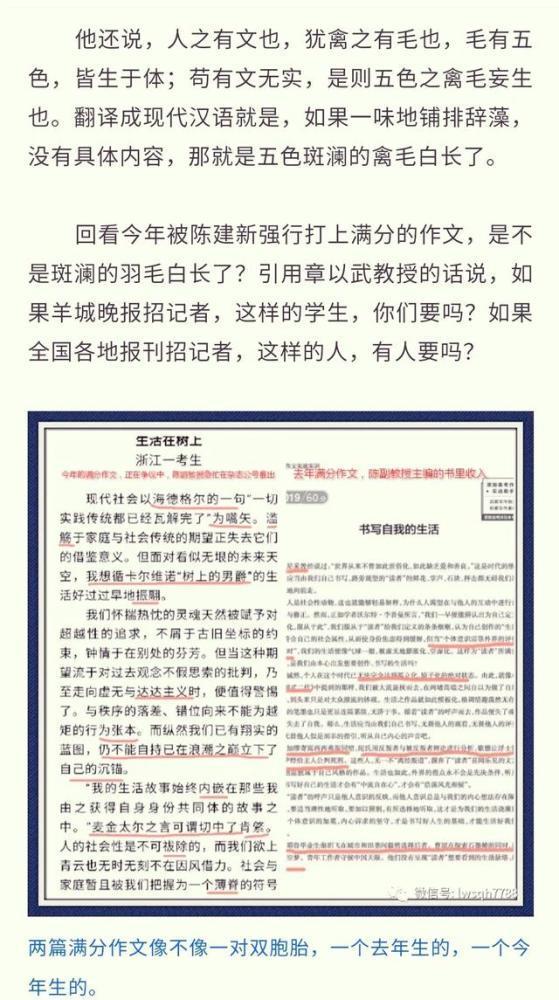浙江满分作文阅卷组长被举报|摊上大事了！浙江满分作文阅卷组长被举报 《生活在树上》与去年形式如出一辙