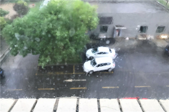 36℃高温高湿！济南将迎来一连串桑拿天 周五还有雷阵雨