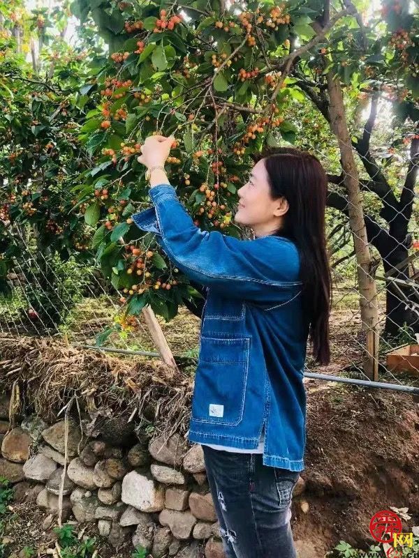 天上人家牡丹艺术文化节邀您免费游