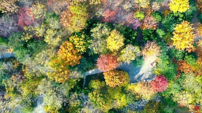 【飞“阅”泉城】佛山秋韵 五彩山河入梦来