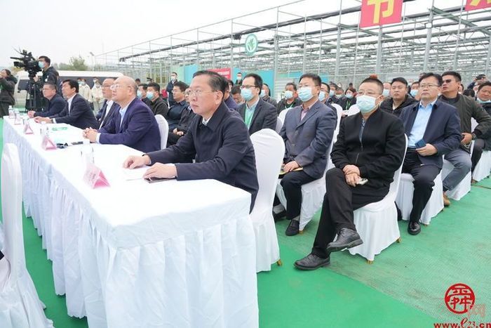 2022中国•章丘大葱文化旅游节活动举行