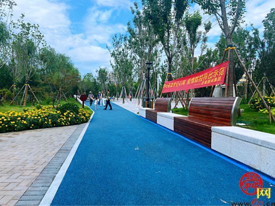槐荫区又有新公园了！再添康养休闲新去处