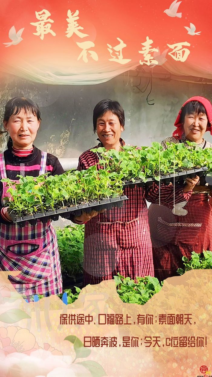 最美不过素面~看，泉城保供路上的她笑得好甜！