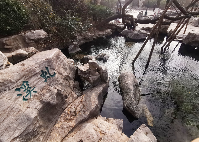 一起观赏冬日里的虬溪泉