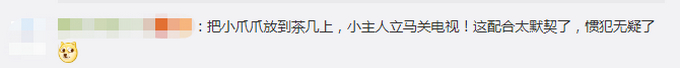 【惯犯】狗子听到家长进门提醒女孩写作业，具体是什么情况？
