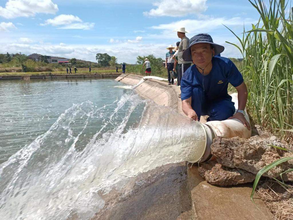 烈日下为干旱的稻田送来灌溉用水湖南衡阳抽水保灌一线见闻