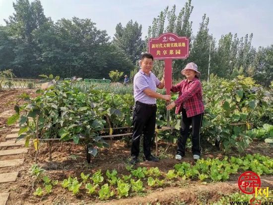 听说过“共享菜园”吗？就在章丘这个地方！
