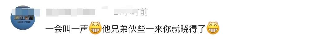 野狼“胖若两狼”！不该投喂的不只是可可西里的狼