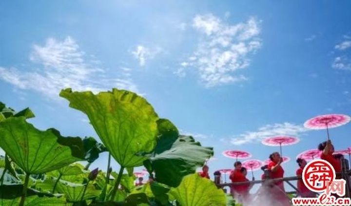【水乡白云】“荷”你相约！！2022年白云湖生态文化旅游节即将开启！