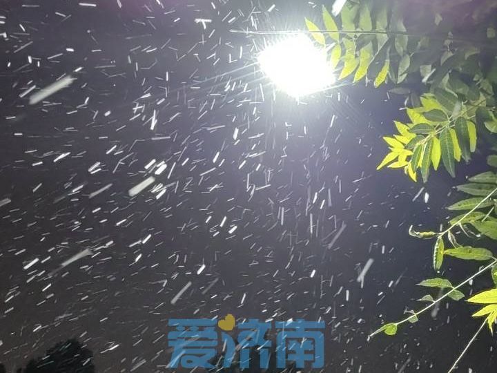 夜晚下雪的图片真实图片