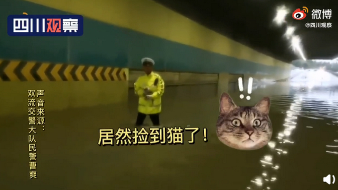 交警暴雨中救起小橘猫留下当警喵