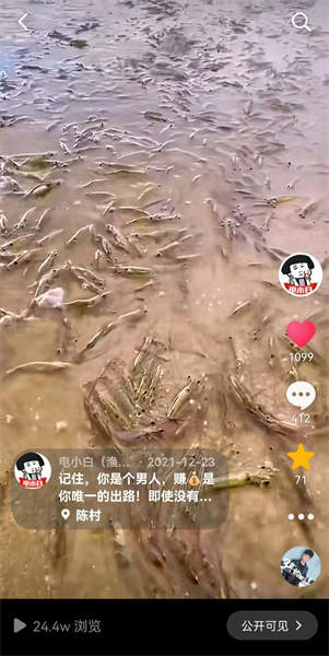 “广东一海滩涌现大量海虾”系谣言