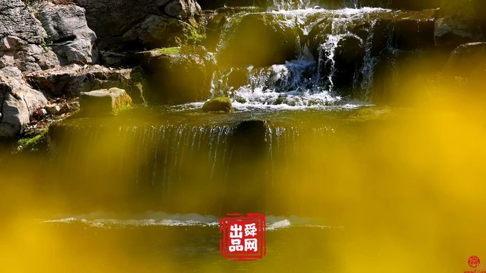 舜视频｜万竹园：济南的春天，都藏在了趵突泉公园这个国宝级的院落里！