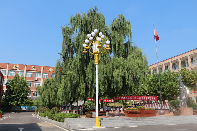 长清五中特别的节日表达特别的爱让教师暖意浓浓