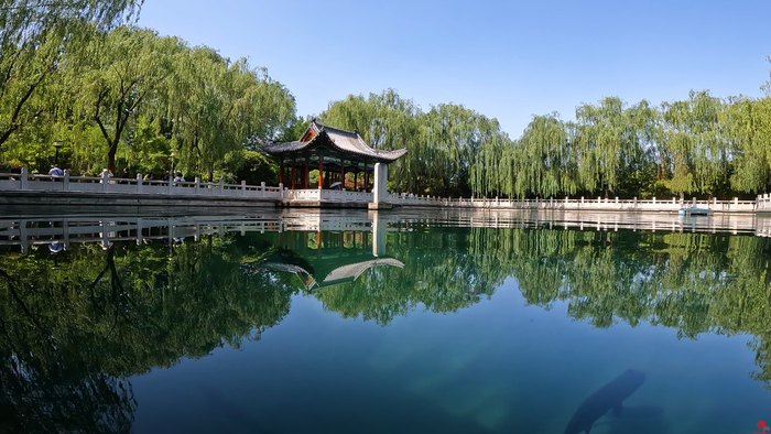 【诗画泉城】珍珠泉：泉从沙出 如珠如玑