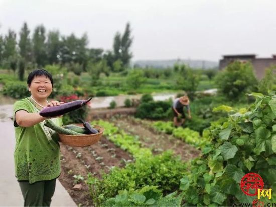 听说过“共享菜园”吗？就在章丘这个地方！