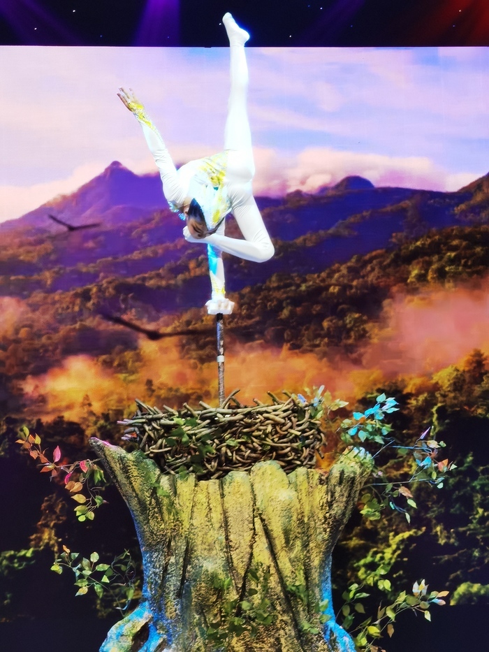 济南艺术学校原创杂技作品获第十四届山东杂技魔术大赛一等奖