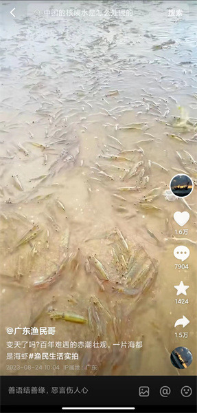 “广东一海滩涌现大量海虾”系谣言