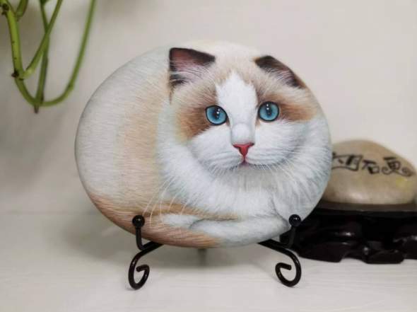 这些小动物其实都是石头