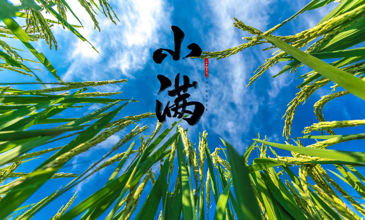 小满奔夏济南气温热情高涨冲32周四雷阵雨又要来