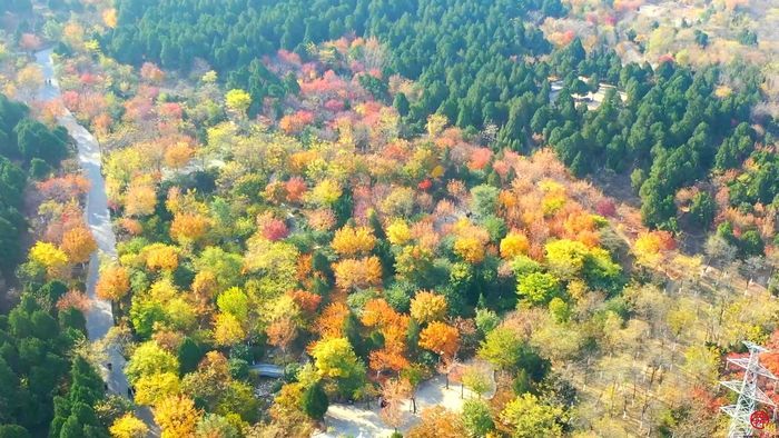 【飞“阅”泉城】佛山秋韵 五彩山河入梦来