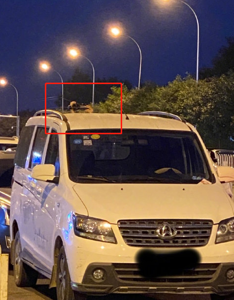 张天爱喊话跟拍者是怎么回事?什么情况?终于真相了!原来是这样！
