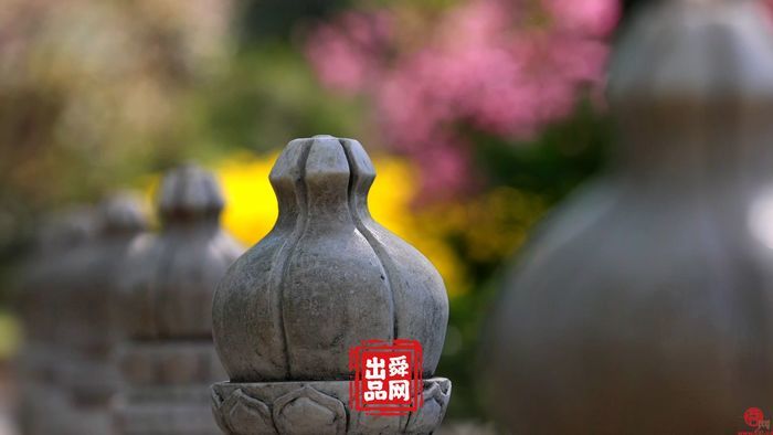 舜视频｜万竹园：济南的春天，都藏在了趵突泉公园这个国宝级的院落里！