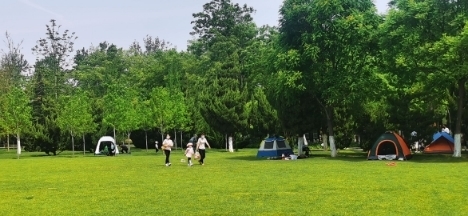 五一期间哪玩：济南植物园里畅享蓝天、绿地与繁花