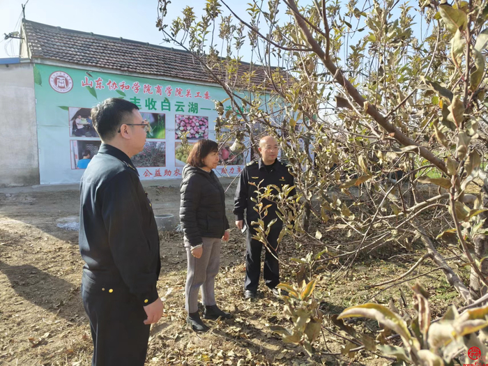 章丘區白雲湖街道辛豐村以金蟬養殖聞名,全村300多戶村民幾乎家家都在