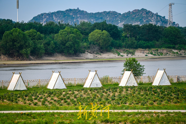 其中,在黄河南岸有两侧建在草地上的露营点,一处位于黄河泺口浮桥西侧
