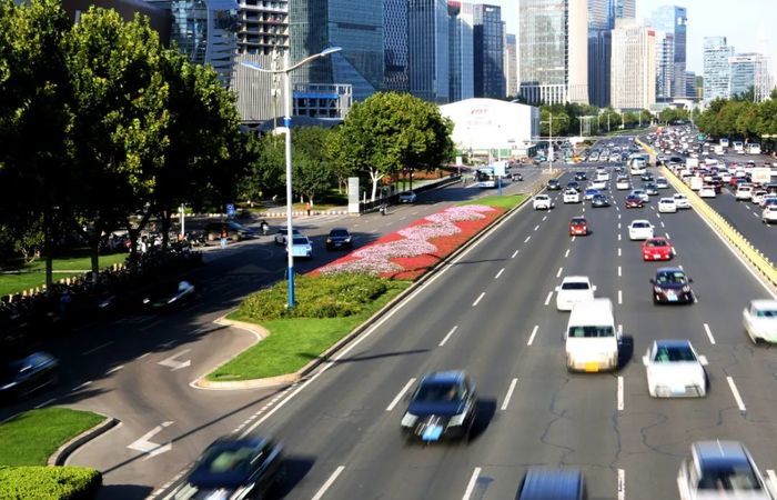 4万余株花卉换“妆”，历下秋季绿化景观持续“上新”