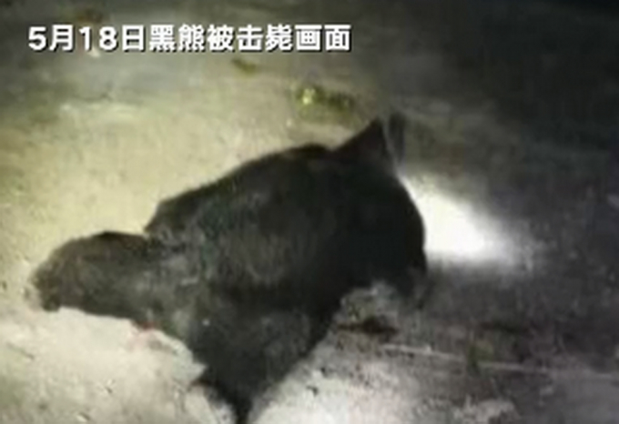熊出没！四川3村民被黑熊咬死家属获赔偿：每名遇难者家属获29万余元